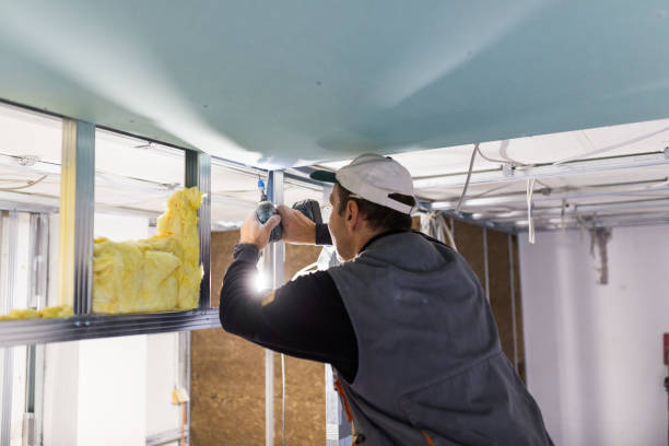 Best Insulation Installation Services in Stacy, MN